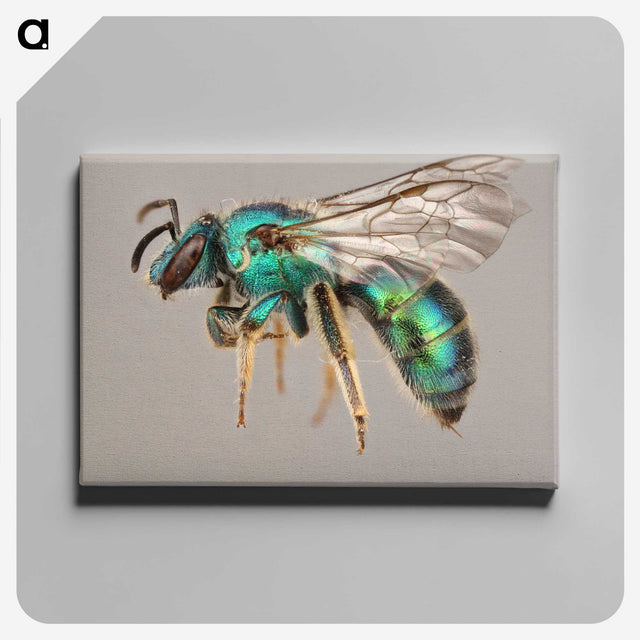 1-42_Insects-Unlocked-Project_canvas