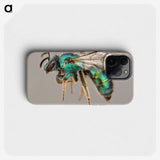 1-42_Insects-Unlocked-Project_phone