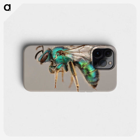 1-42_Insects-Unlocked-Project_phone