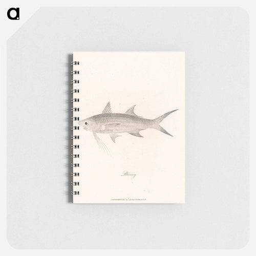 Binny
 - ジェームス ヒース Memo.