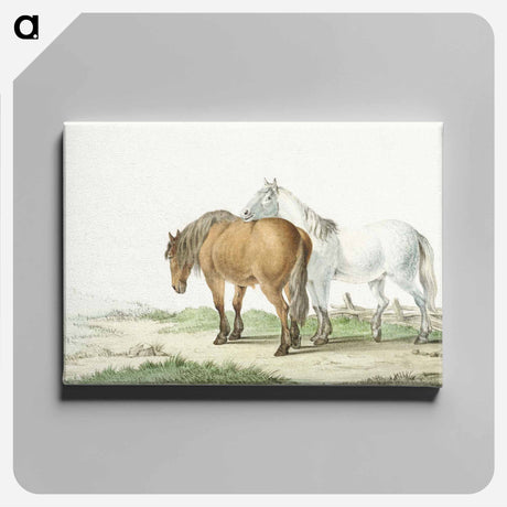 アートパネル-A brown and white horse on a road next to a fence by Jean Bernard - ジャン ベルナール Canvas.