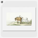 1-42_Jean-Bernard_picture
