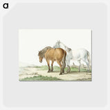 アートポストカード-A brown and white horse on a road next to a fence by Jean Bernard - ジャン ベルナール Postcard.