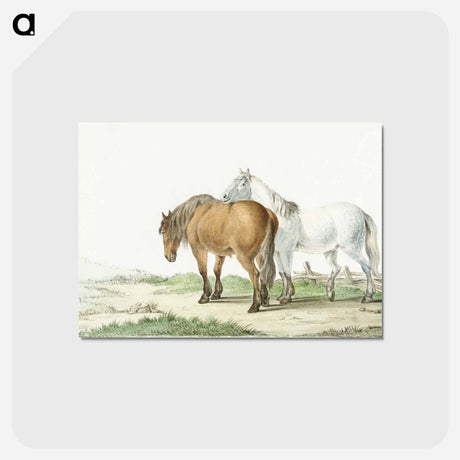 アートポストカード-A brown and white horse on a road next to a fence by Jean Bernard - ジャン ベルナール Postcard.