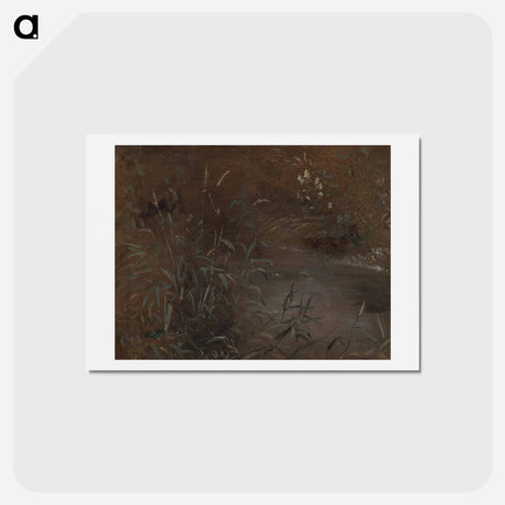 アートポストカード-Rushes by a Pool
 - ジョン コンスタブル Postcard.