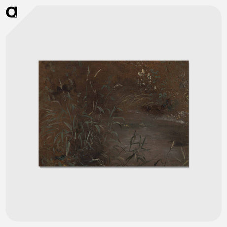 アートポストカード-Rushes by a Pool
 - ジョン コンスタブル Postcard.