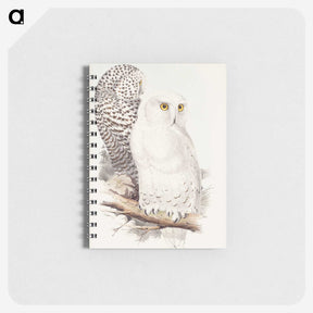 1-42_John-Gould_memo