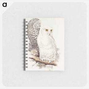 アートメモ帳-Snowy Owl
 - ジョン グールド Memo.