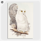 1-42_John-Gould_picture-crop