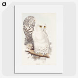 1-42_John-Gould_picture