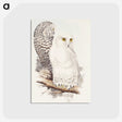 1-42_John-Gould_postcard