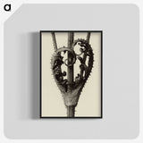 1-42_Karl-Blossfeldt_blk-crop