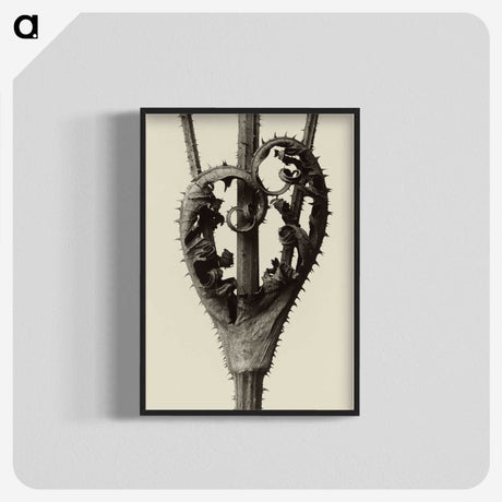 1-42_Karl-Blossfeldt_blk-crop