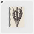 1-42_Karl-Blossfeldt_memo