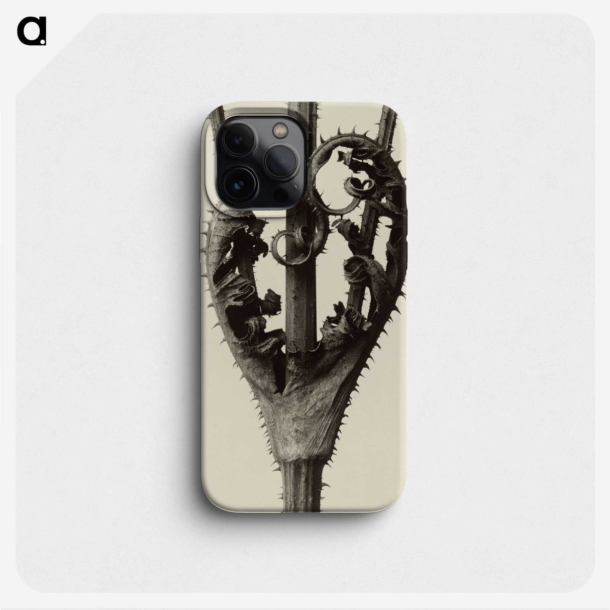 1-42_Karl-Blossfeldt_phone