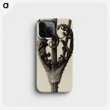 1-42_Karl-Blossfeldt_phone