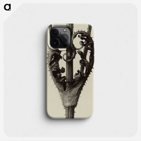 1-42_Karl-Blossfeldt_phone