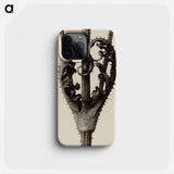 Dipsacus laciniatus - Karl Blossfeldt Phone Case.