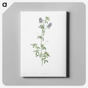 1-42_La-Botanique_canvas