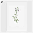 1-42_La-Botanique_picture