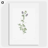 1-42_La-Botanique_picture