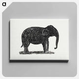 Elephant - レオ ゲステル Canvas.