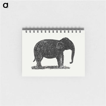 Elephant - レオ ヘステル Memo.