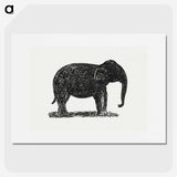 1-42_Leo-Gestel_picture