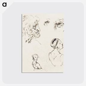 アートポストカード-Sheet of Studies - レオナルド ダ ヴィンチ Postcard.