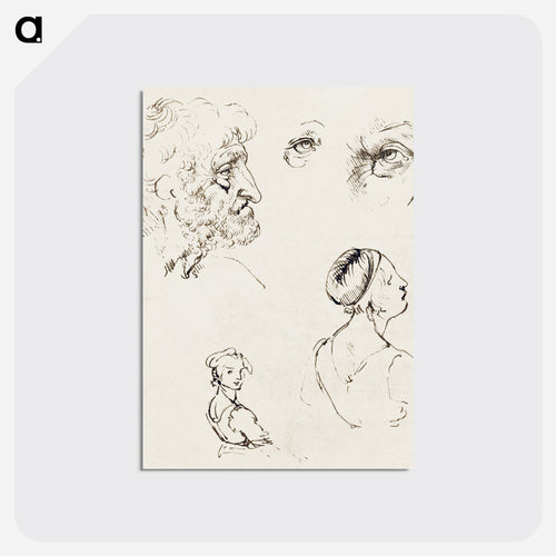 Sheet of Studies - レオナルド ダ ヴィンチ Postcard.