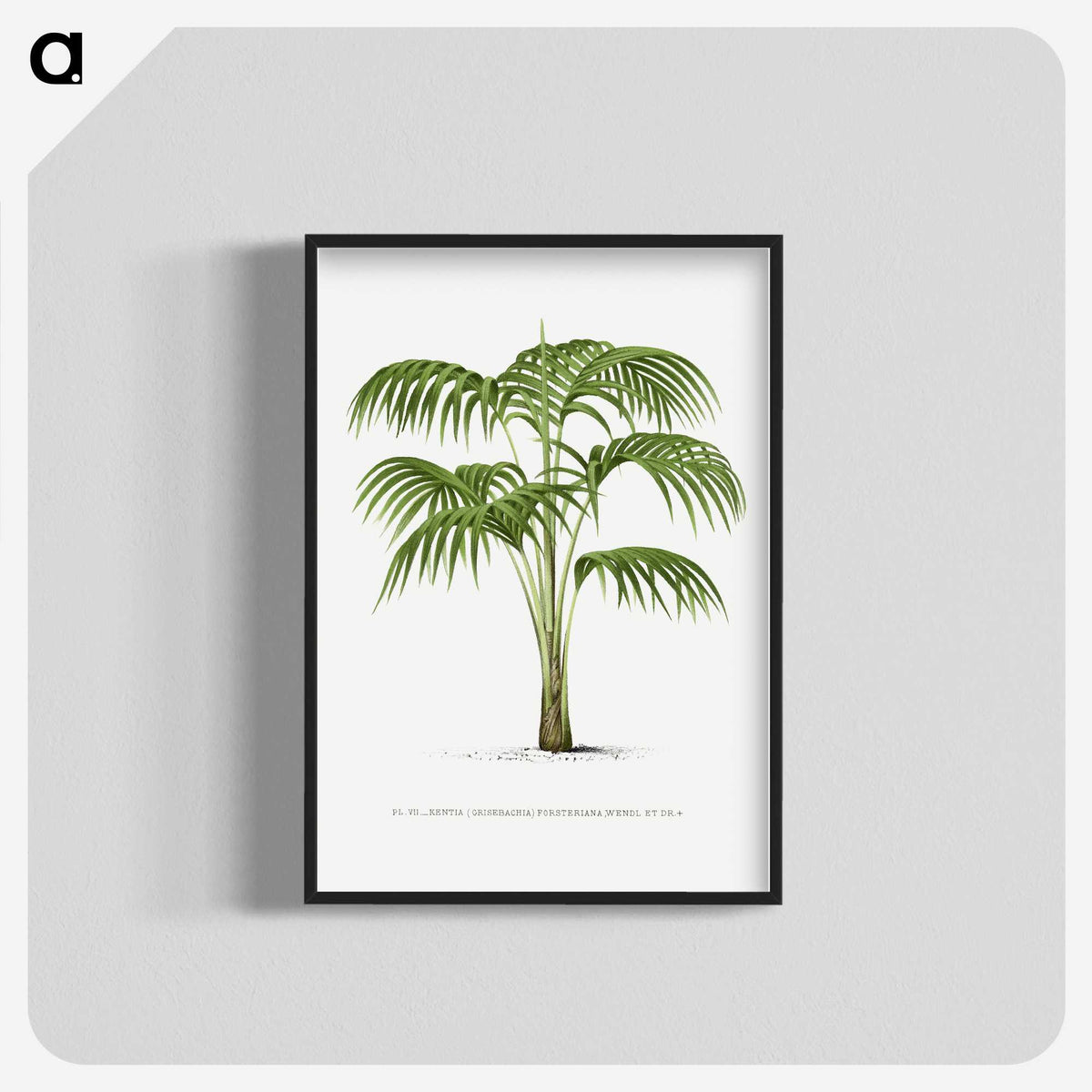1-42_Les-Palmiers-Histoire-Iconographique_blk-crop
