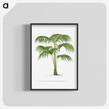 1-42_Les-Palmiers-Histoire-Iconographique_blk-crop