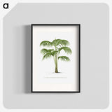 1-42_Les-Palmiers-Histoire-Iconographique_blk