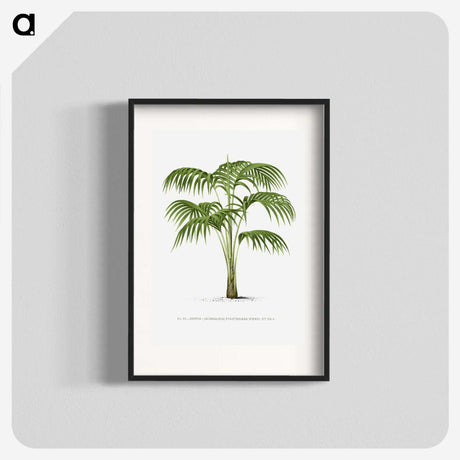 1-42_Les-Palmiers-Histoire-Iconographique_blk