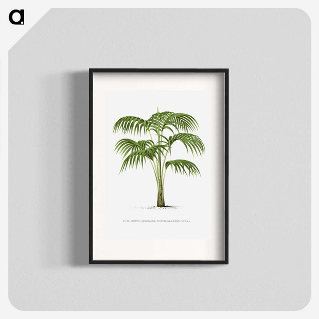 1-42_Les-Palmiers-Histoire-Iconographique_blk