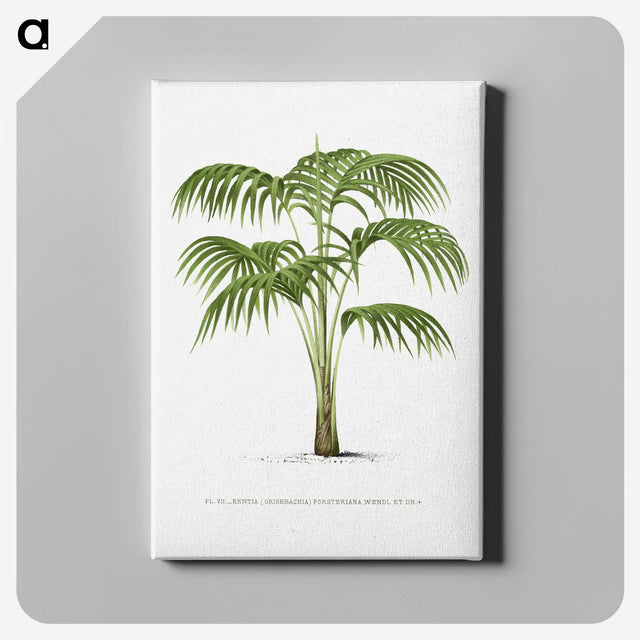 1-42_Les-Palmiers-Histoire-Iconographique_canvas