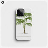 1-42_Les-Palmiers-Histoire-Iconographique_phone