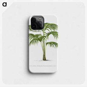 1-42_Les-Palmiers-Histoire-Iconographique_phone