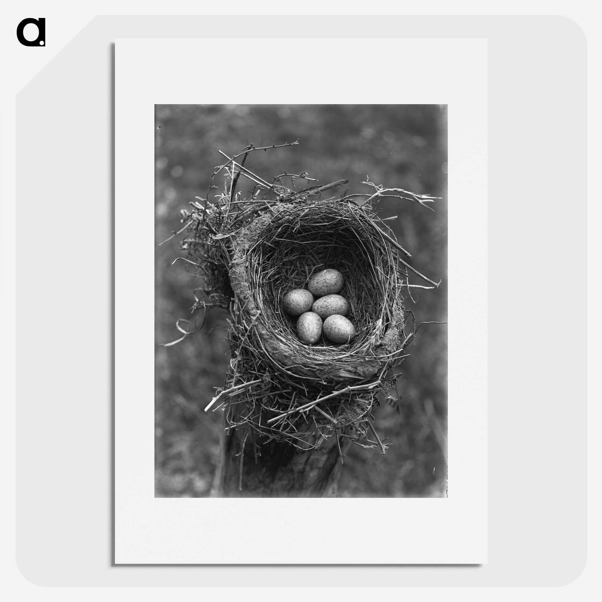 1-42_Leslie-Adkin_picture
