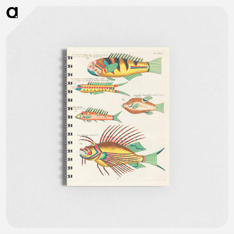 アートメモ帳-Moluccan Fishes
 - ルイ ルナール Memo.