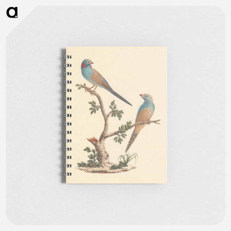 アートメモ帳-Red Cheeked Cordon Bleu
 - ルイージ バルガーニ Memo.