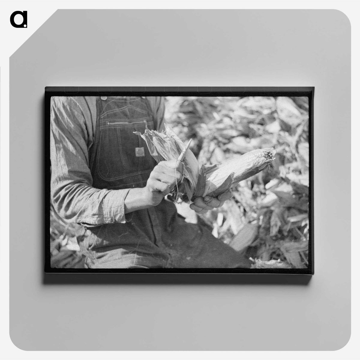 1-42_Marion-Post-Wolcott_canvas