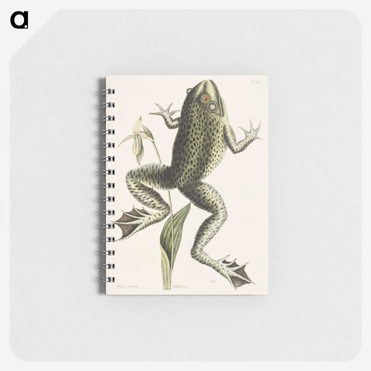 1-42_Mark-Catesby_memo