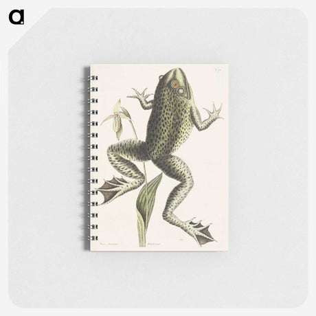 1-42_Mark-Catesby_memo
