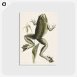 1-42_Mark-Catesby_postcard