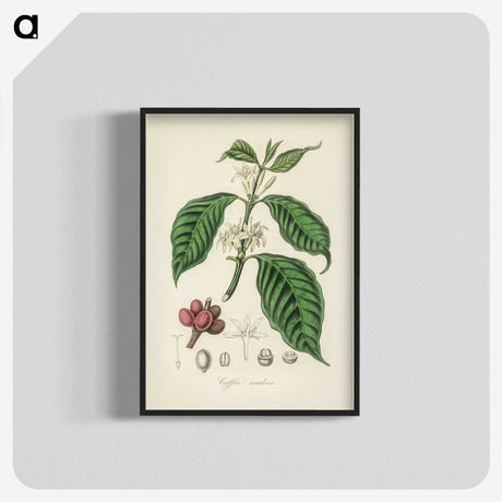 1-42_Medical-Botany_blk-crop
