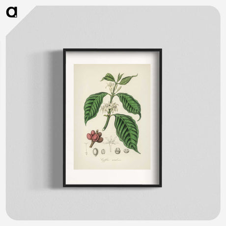1-42_Medical-Botany_blk