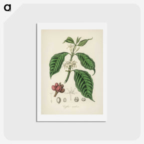 1-42_Medical-Botany_hagaki