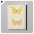 1-42_Moths-and-Butterflies-of-the-United-States_canvas