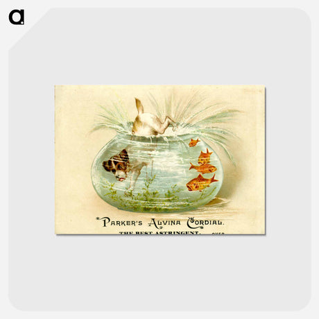 アートポストカード-Alvina Cordial
 - 国立医学図書館 Postcard.